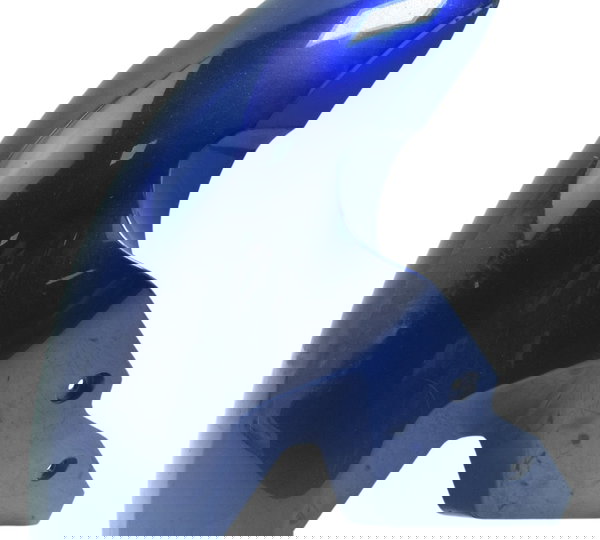 Paralama Dianteiro C/ Detalhes Bmw S 1000r 18-20 Original