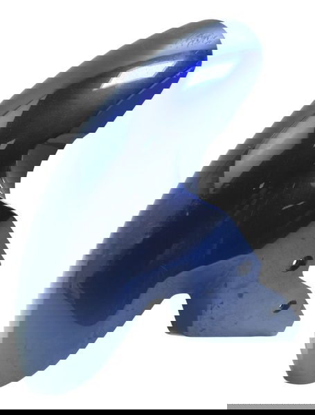 Paralama Dianteiro C/ Detalhes Bmw S 1000r 18-20 Original