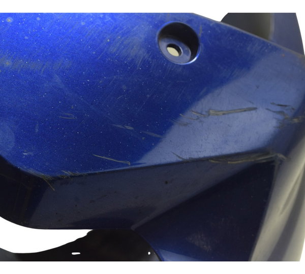 Paralama Dianteiro C/ Detalhes Bmw S 1000r 18-20 Original