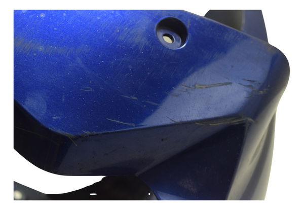 Paralama Dianteiro C/ Detalhes Bmw S 1000r 18-20 Original