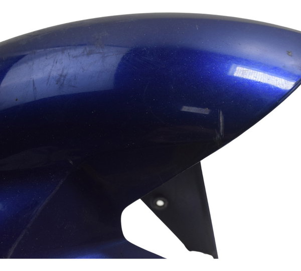 Paralama Dianteiro C/ Detalhes Bmw S 1000r 18-20 Original