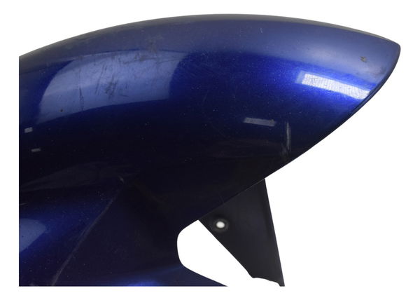 Paralama Dianteiro C/ Detalhes Bmw S 1000r 18-20 Original