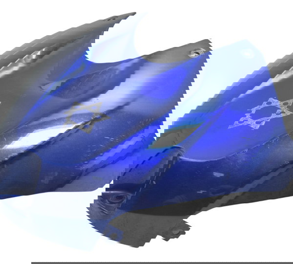 Carenagem Capa Tanque C/ Detalhes Bmw S 1000r 18-20 Original Azul