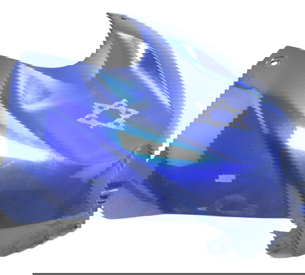 Carenagem Capa Tanque C/ Detalhes Bmw S 1000r 18-20 Original Azul