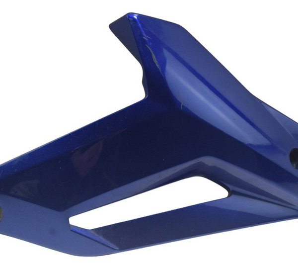 Carenagem Spoiler Esquerdo Bmw S 1000r 18-20 Original Azul