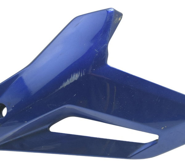 Carenagem Spoiler Dir C/ Detalhes Bmw S 1000r 18-20 Original Azul