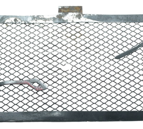 Grade Radiador Óleo Bmw S 1000r 18-20 Original Preto