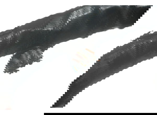 Chicote Principal C/ Avaria Honda Xl 700v Transalp 11-14
