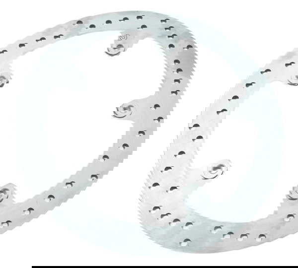 Disco Freio Dianteiro Bmw S 1000r 18-20 Original