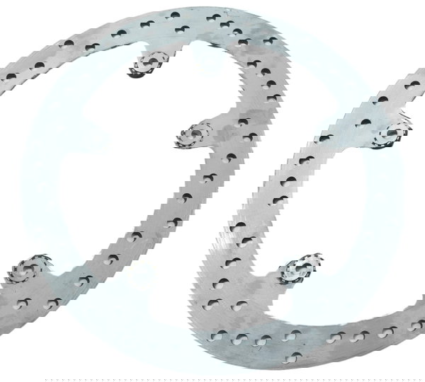 Disco Freio Dianteiro Bmw S 1000r 18-20 Original