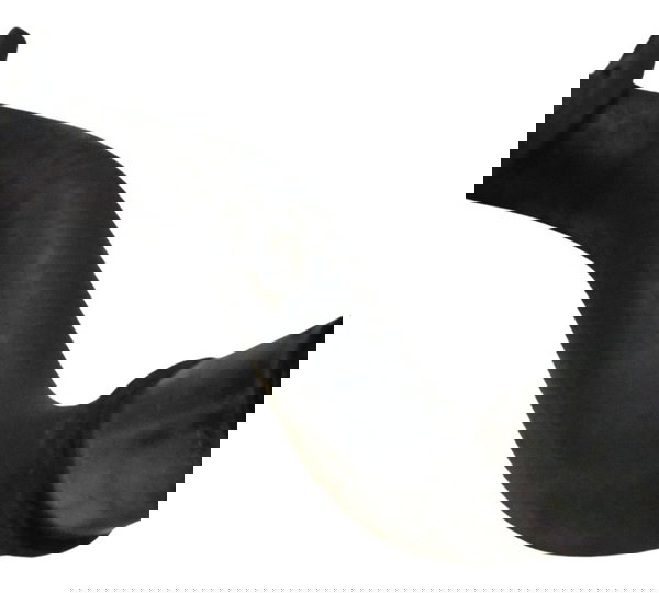 Curva Escape Honda Xl 700v Transalp 11-14 Orig