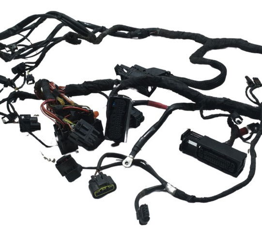 Chicote Principal Bmw S 1000r 18-20 Original