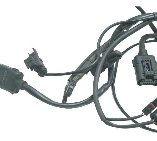 Chicote Principal Bmw S 1000r 18-20 Original