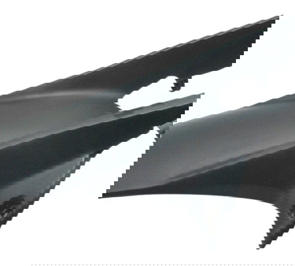 Paralama Protetor Amortecedor Honda Cb 650f 18-21 Original