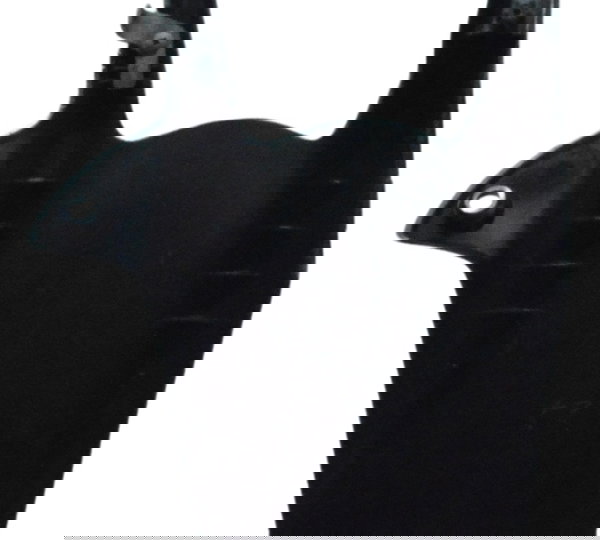 Paralama Protetor Amortecedor Honda Cb 650f 18-21 Original