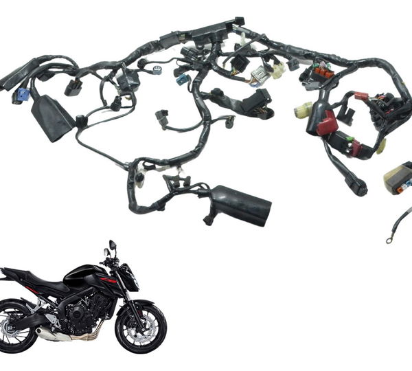Chicote Principal C/ Abs Honda Cb 650f 18-21 Original