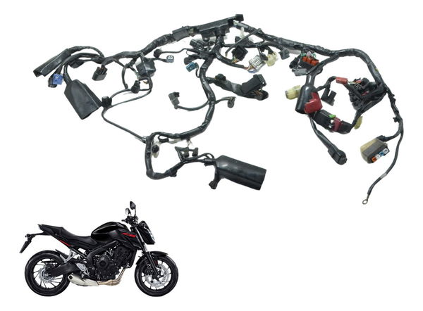 Chicote Principal C/ Abs Honda Cb 650f 18-21 Original