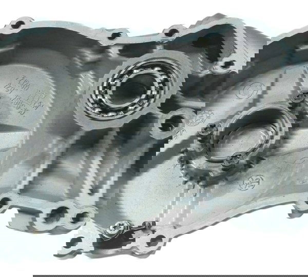 Tampa Estator Bmw S 1000r 18-20 Original Cinza