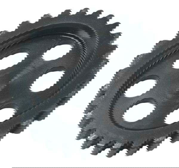 Engrenagem Comando Admissão Bmw S 1000r 18-20 Original