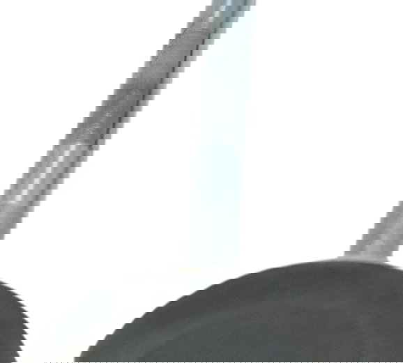 Válvula Admissão Bmw S 1000r 18-20 Original