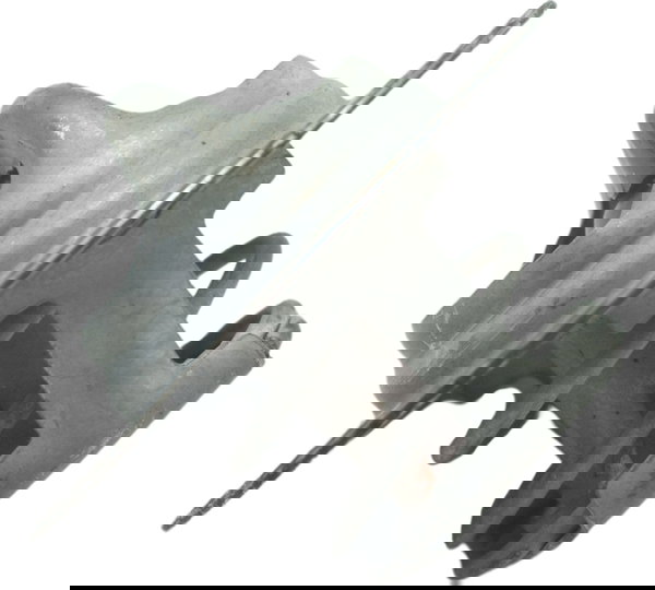 Válvula Termostática Triumph Tiger 800 Xrx 2016 Original