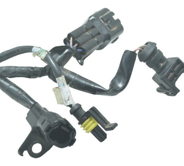 Chicote Motor Triumph Tiger 800 Xrx 2016 Original