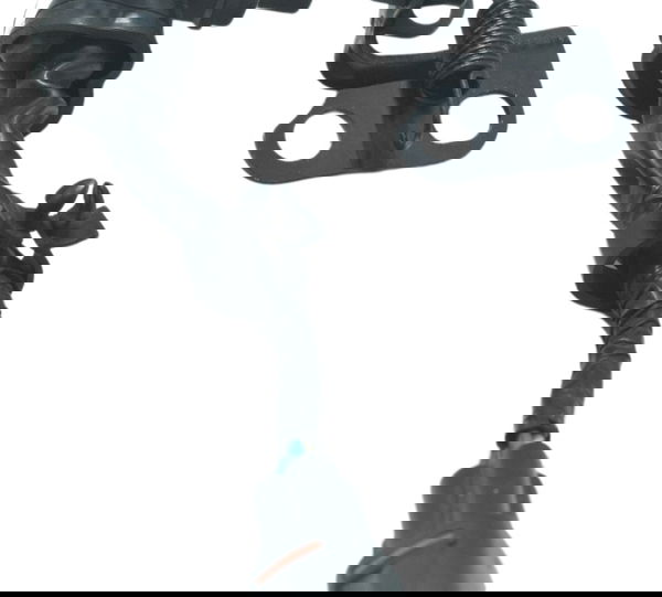 Interruptor Freio Traseiro Triumph Tiger 800 Xrx 2016 Orig