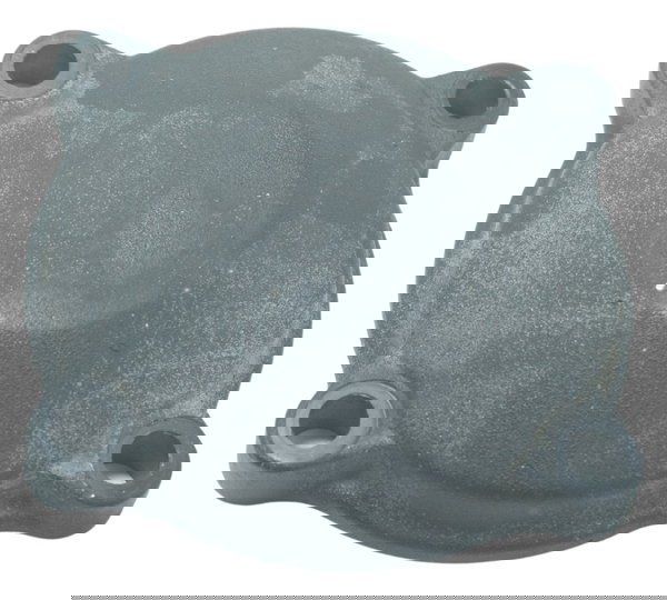 Tampa Balanceiro Motor Triumph Tiger 800 Xrx 2016 Original