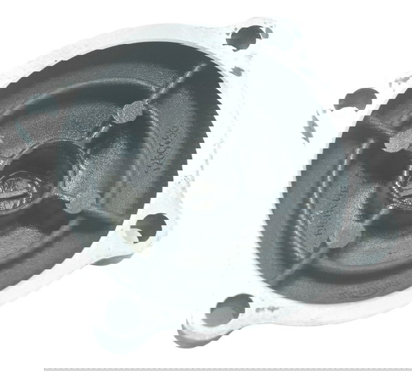 Tampa Balanceiro Motor Triumph Tiger 800 Xrx 2016 Original