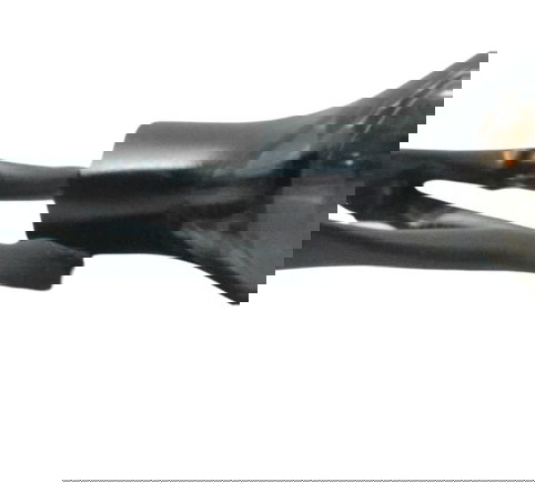 Pisca Traseiro Direito C/avaria Honda Cb 650f 18-21 Original