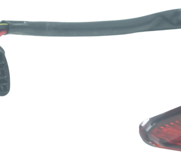 Lanterna Traseira C/ Detalhes Kawasaki Z 1000 15-22 Original Vermelho