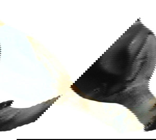 Ponteira Escape Honda Xre 300 09-15 Original