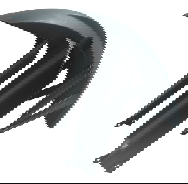 Paralama Dianteiro Bmw F 800 Gs 09-12 Original