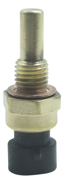 Sensor Temperatura Bmw F 800 Gs 09-12 Original