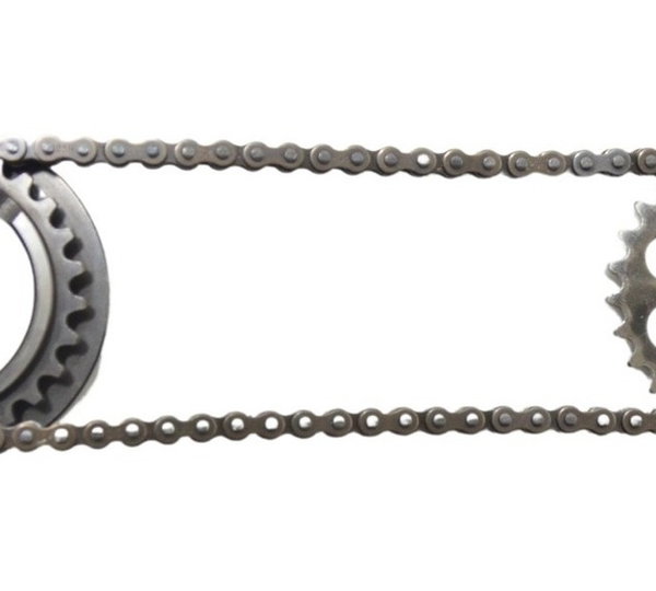 Engrenagem Corrente Bomba Óleo Triumph Tiger 800 13-19 Orig