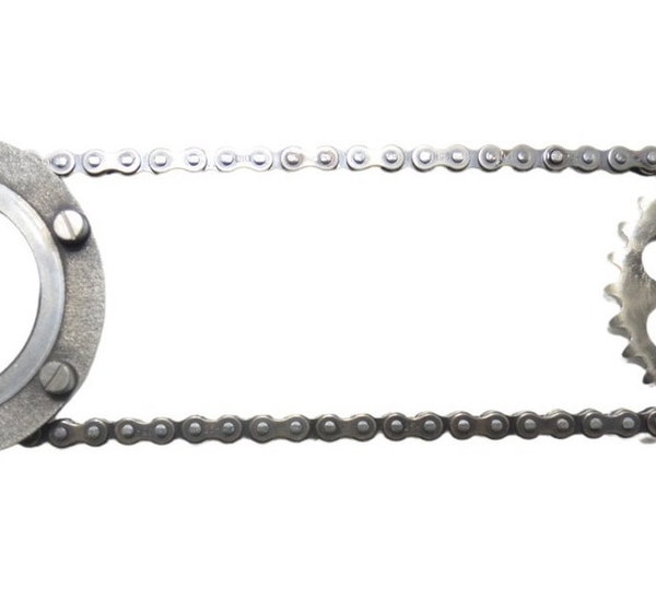 Engrenagem Corrente Bomba Óleo Triumph Tiger 800 13-19 Orig