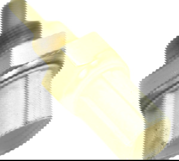 Sensor Temperatura Kawasaki Ninja 300 13-18 Original