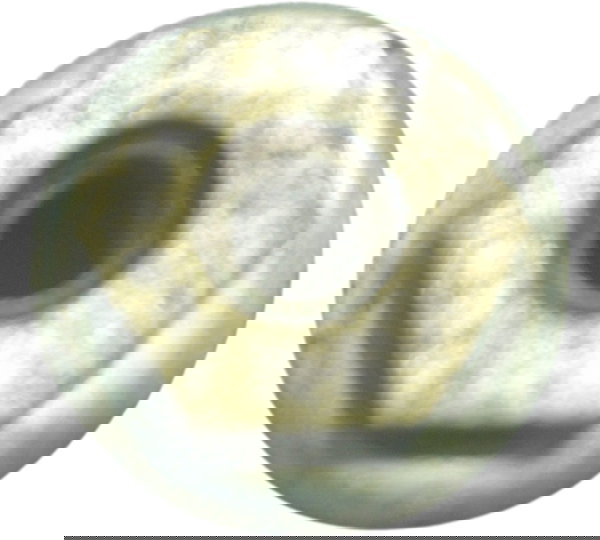 Parafuso Paralama Traseiro Harley Electra Touring 08-13 Orig