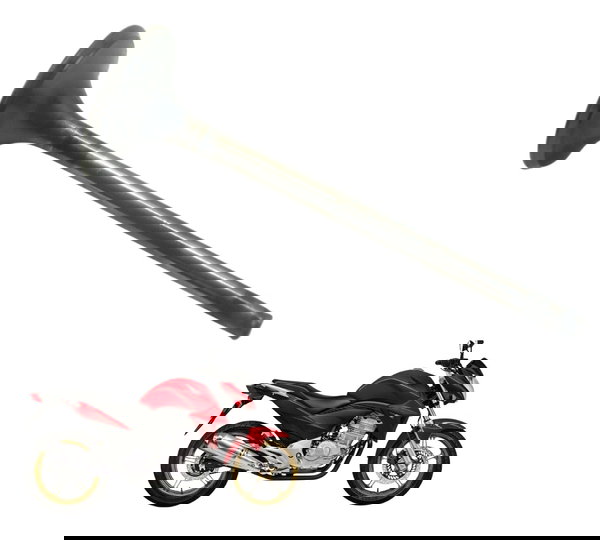 Válvula Admissão Honda Cb 300 R 09-12 Original