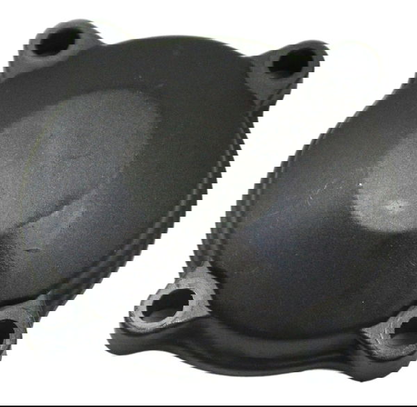 Tampa Balanceiro Triumph Tiger 900 Rally Pro 20-24 Original