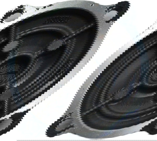 Tampa Balanceiro Triumph Tiger 900 Rally Pro 20-24 Original