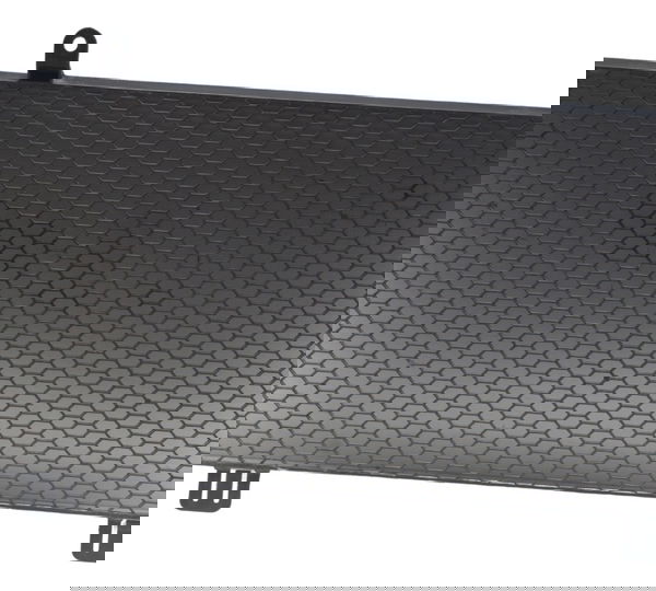 Grade Protetor Radiador Bmw F 800 Gs 09-12 Original Preto