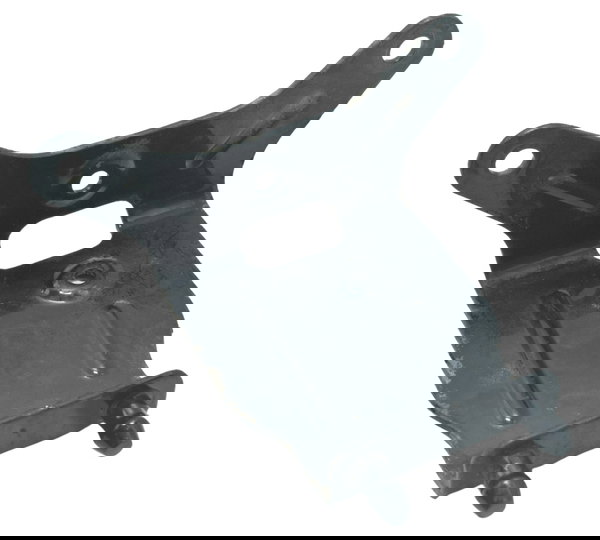 Suporte Modulo Abs C/detalhes Sportster 883 Iron 14-19 Orig Preto