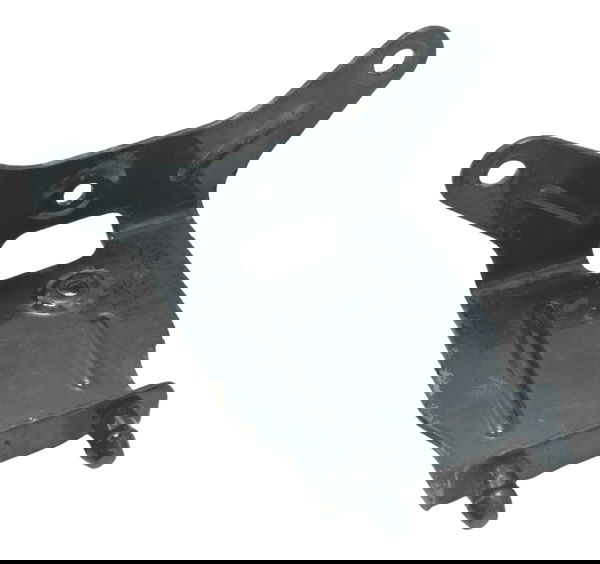 Suporte Modulo Abs C/detalhes Sportster 883 Iron 14-19 Orig