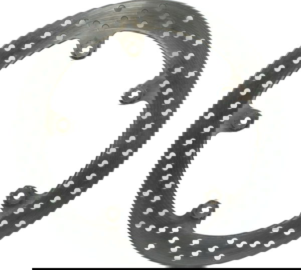 Disco Freio Dianteiro 4,55mm Bmw F 800 R 09-15 Original