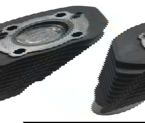 Cilindro Pistão E Anéis Sportster 883 Iron 14-19 Original