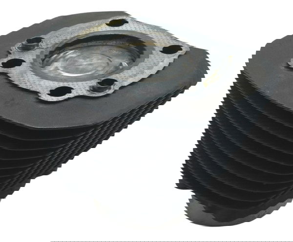 Cilindro Pistão E Anéis Sportster 883 Iron 14-19 Original
