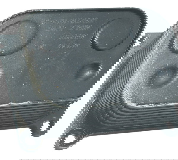 Resfriador Óleo Bmw F 800 R 09-15 Original