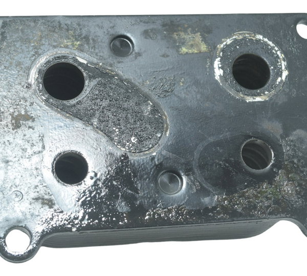 Resfriador Óleo Bmw F 800 R 09-15 Original