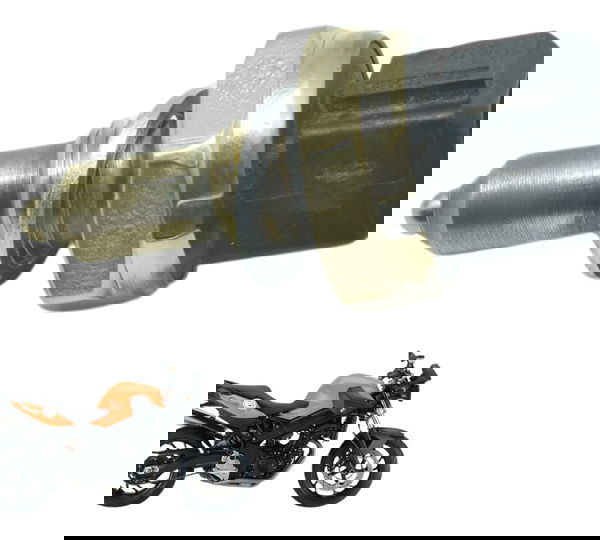 Sensor Temperatura Bmw F 800 R 09-15 Original